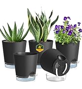 Meowell 4 inch Self Watering Pots for Indoor Plants, 5 Pack Small Flower Plant Pots with Drainage...