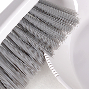 Mini Dustpan and Brush Set