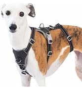 Huntboo Escape Proof Dog Harness – No Pull, No Slip, Fully Reflective, Adjustable 7-Point Design ...