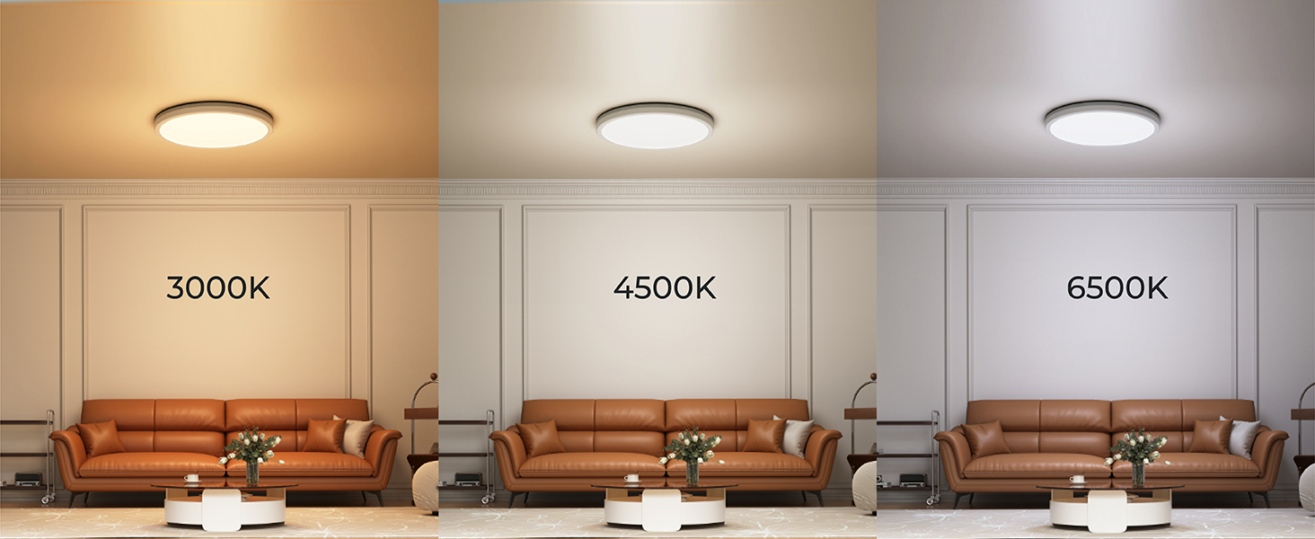 ceiling liight fixture