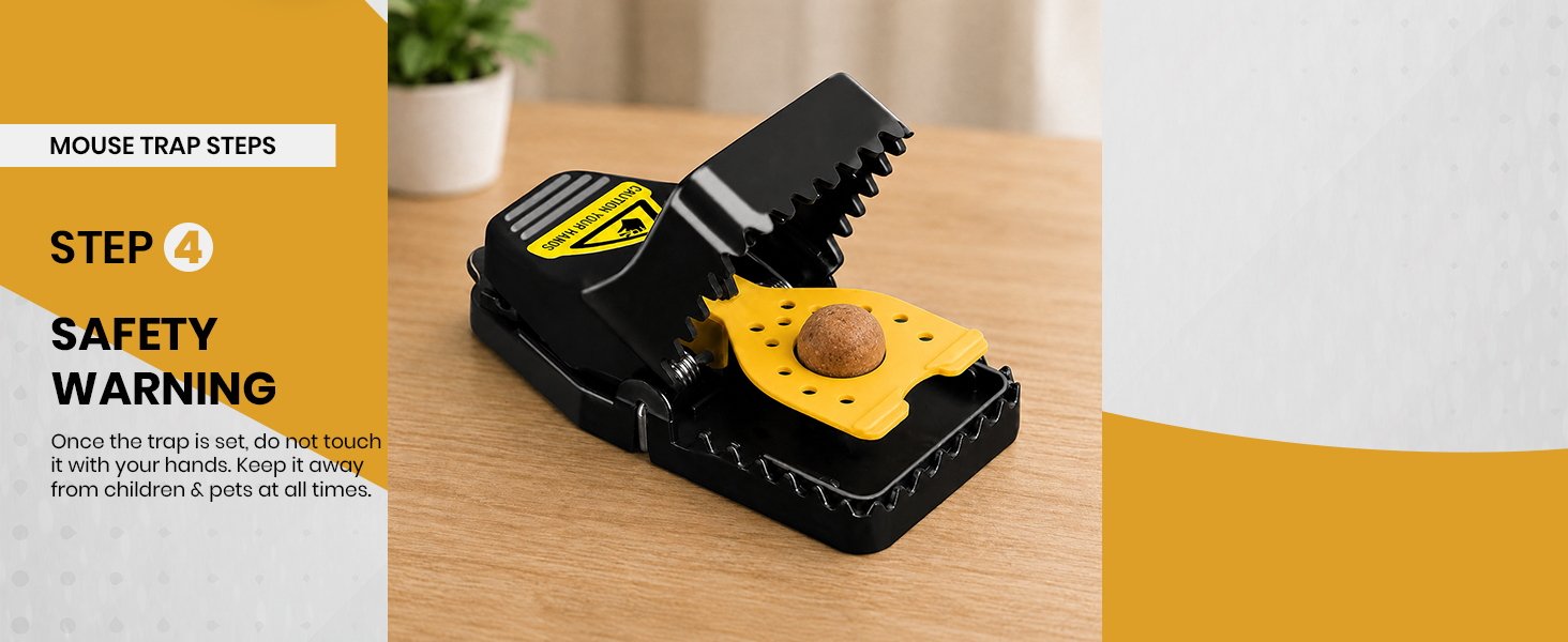 Mouse Traps