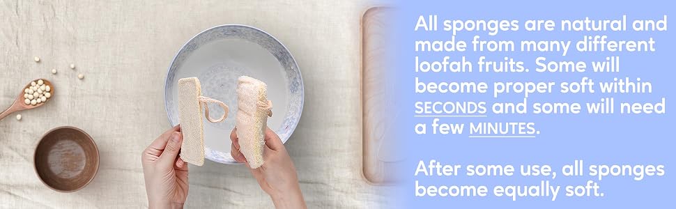 eplanita natural kitchen sponges loofah dishwashing sustainability scourer dish cleaning