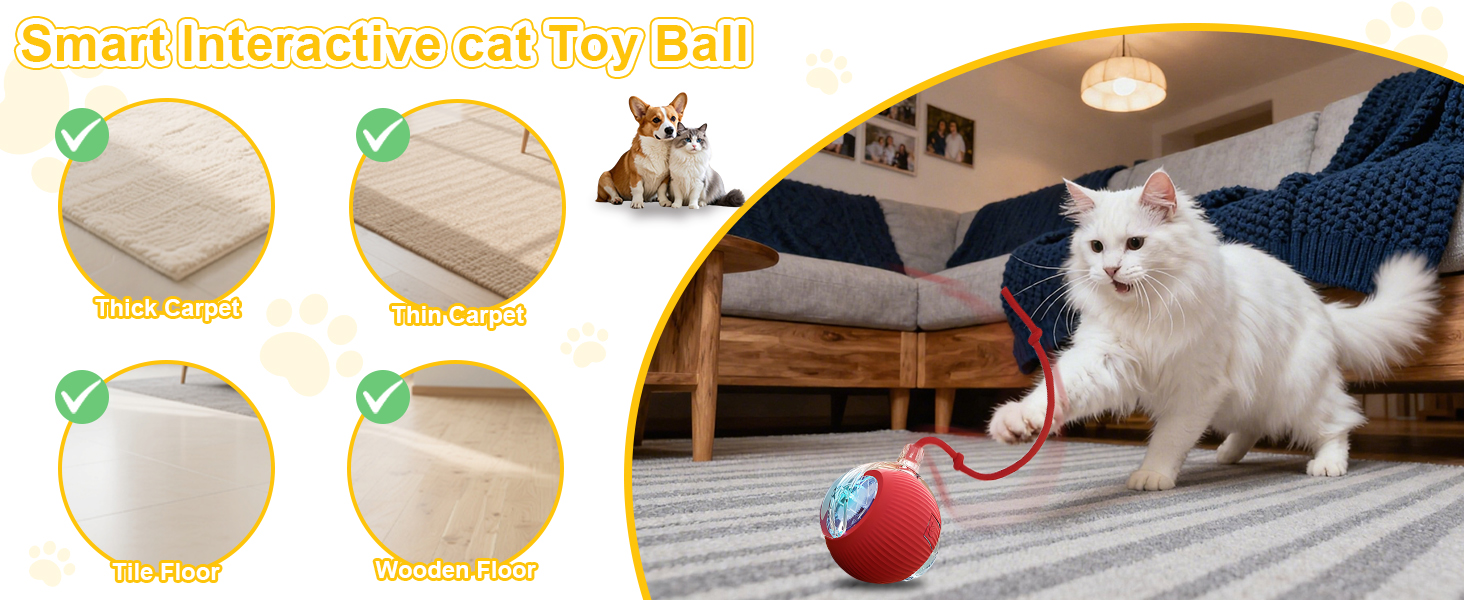 cat ball