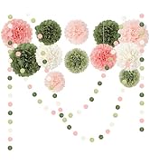 NICROHOME EUR Wedding Party Decorations Set, 15 PCS Pink Sage Green Tissue Paper Pom Poms Dots Pa...