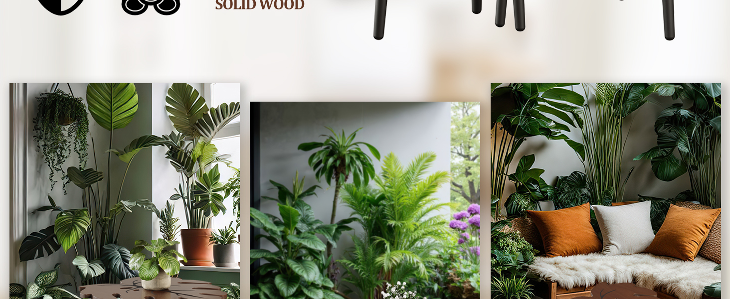 decor
