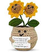 OASSIE Best Friend Birthday Gifts for Women - Emotional Support Crochet Flowers with Card - Best ...