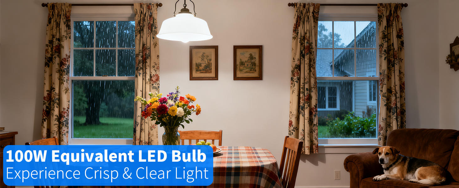 LED LIGHT BULBS 100W