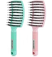 2 Pack Detangling Brush Getting Knots Out without Pain Adds Shine and Makes Hair Smooth,Detangler...