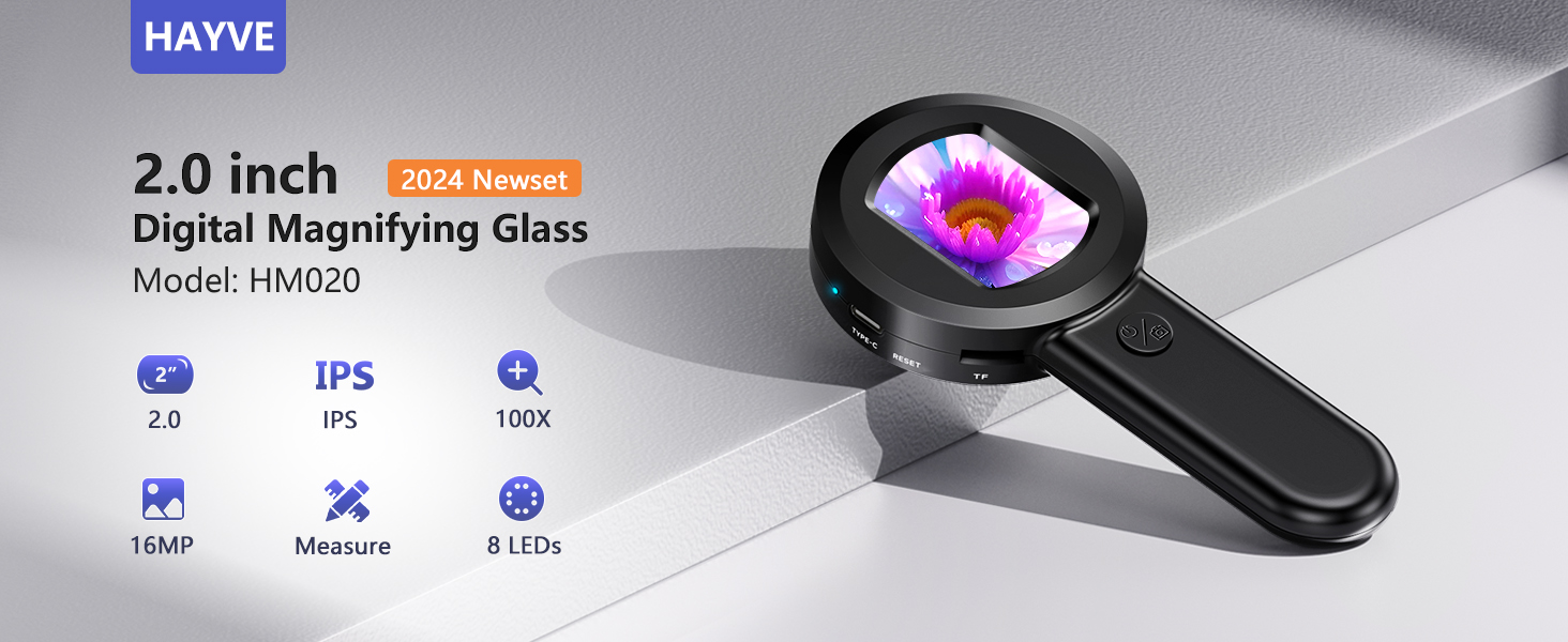 magnifying glass