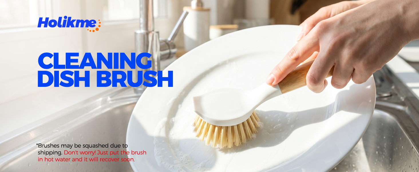 dish brush