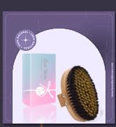 Body Brush
