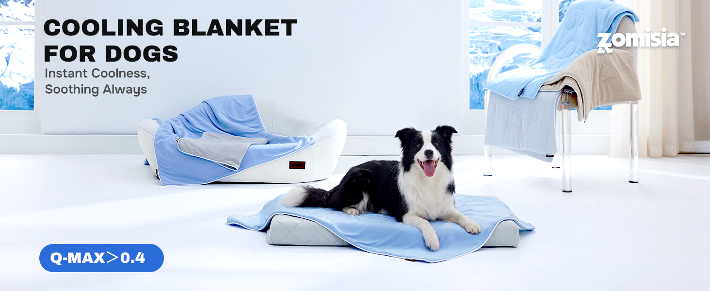 cooling blanket for dogs