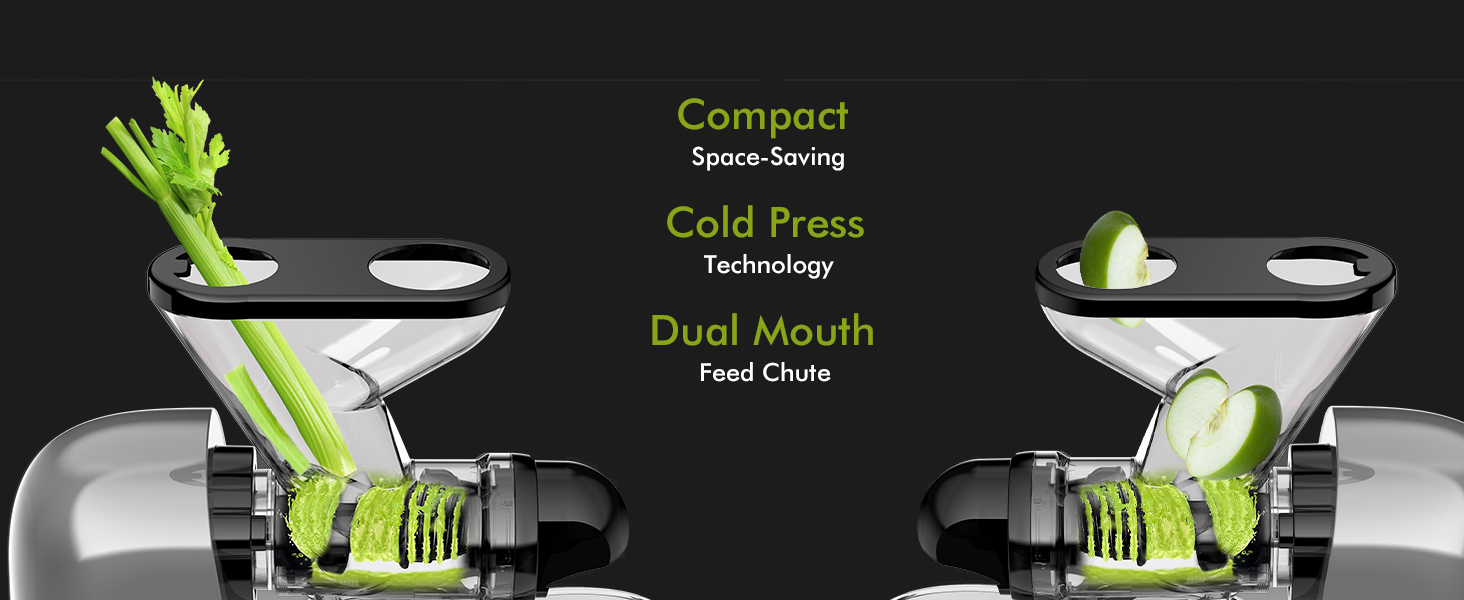 Gray aluminum compact cold press juicer with dual mouth chute for whole apples and celery.