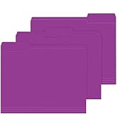 File Folder, PANDRI 120 Pack File Folder, 1/3 Cut Tab, Letter Size, Filing Folder for Office Scho...