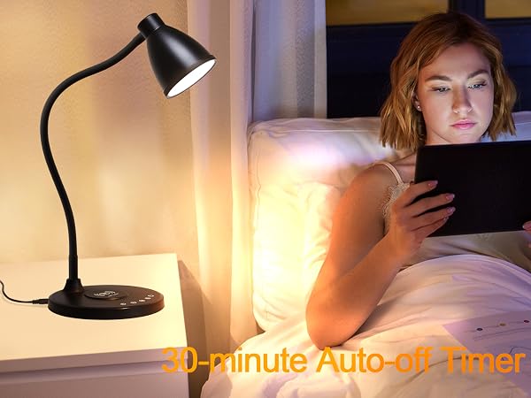 Desk Lamp for Home Office LED Desk Light USB Charging Ports Bedside Table Lamp for Dorm Room