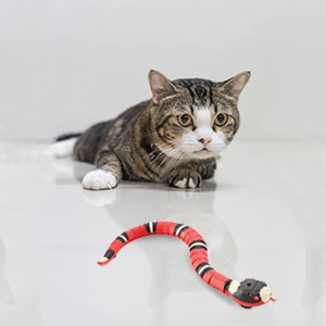 Our snake cat toy has a fun and interesting design