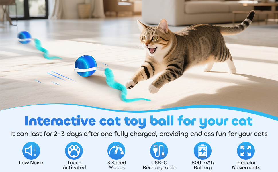 interactive cat toy ball