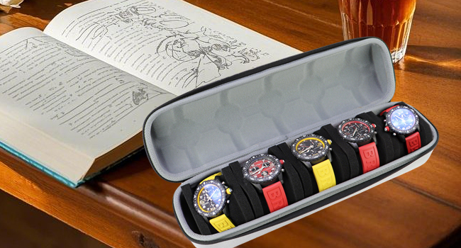 watch case