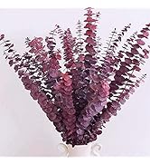 Preserved-Dried-Eucalyptus-Branches,17" 100% Natural Fresh Eucalyptus Plant for Shower, Real Euca...