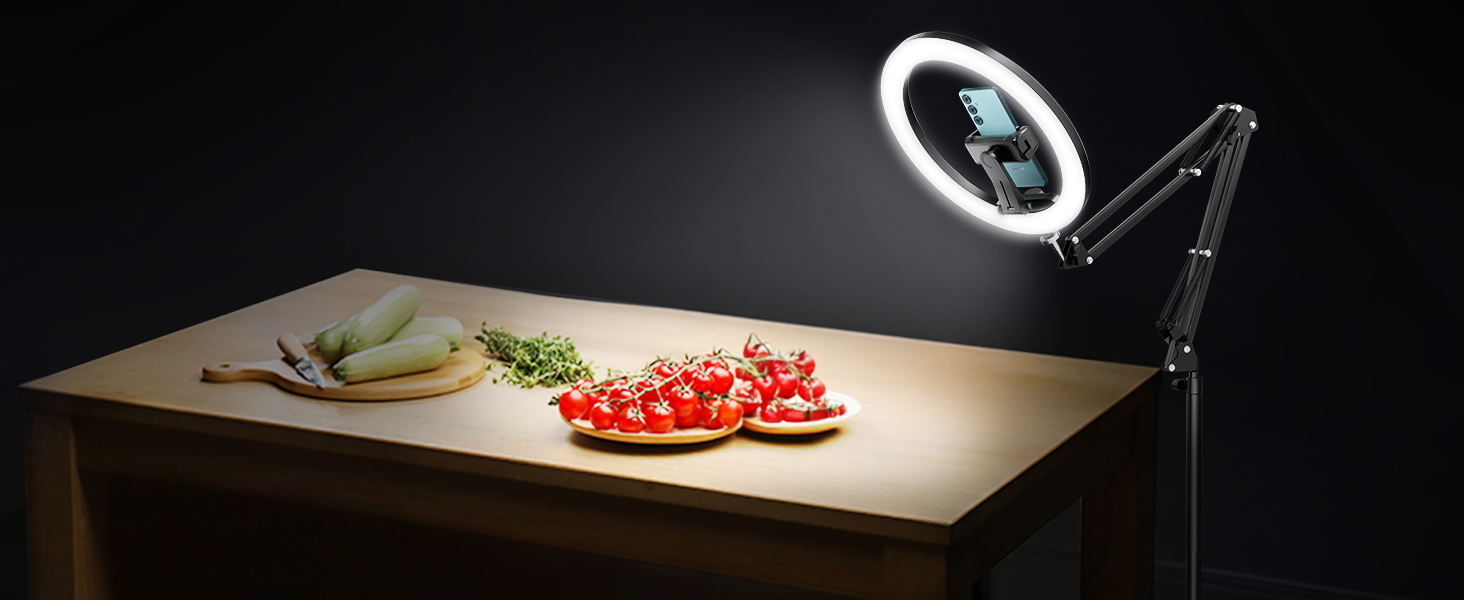 overhead phone mount