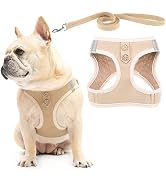PUPTECK Dog Harness and Leash Set for Small Medium Dogs No Pull Step-in Soft Mesh Puppy Cat Vest ...
