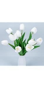 https://m.media-amazon.com/images/S/aplus-media-library-service-media/5cc807b0-17a4-4a7a-ac49-93f13c2b91fb.__AC_SR150,300___.jpg