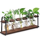 THYGIFTREE Plant Propagation Stations with Wooden Stand, Desktop Retro Plant Terrarium Bulb Vase ...