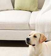 Orthopedic dog crate bed