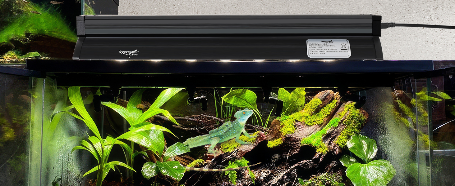 uvb light for reptiles