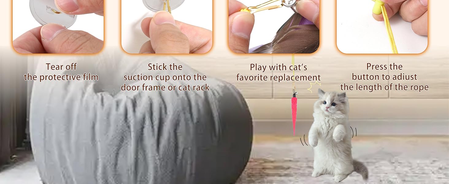 cat toys