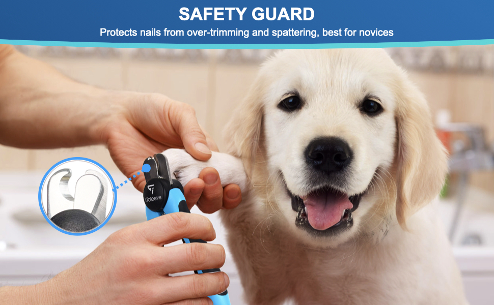 SAFETY GUARD