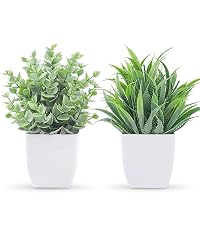 https://m.media-amazon.com/images/S/aplus-media-library-service-media/1f0dca03-2c59-41d2-a917-1c417e674224.__CR0,0,800,900_PT0_SX200_V1___.jpg