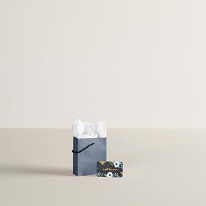 Hallmark Mini Gift Bag