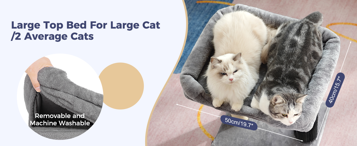 cat tree