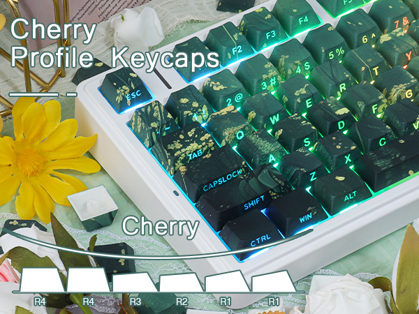 pbt keycaps