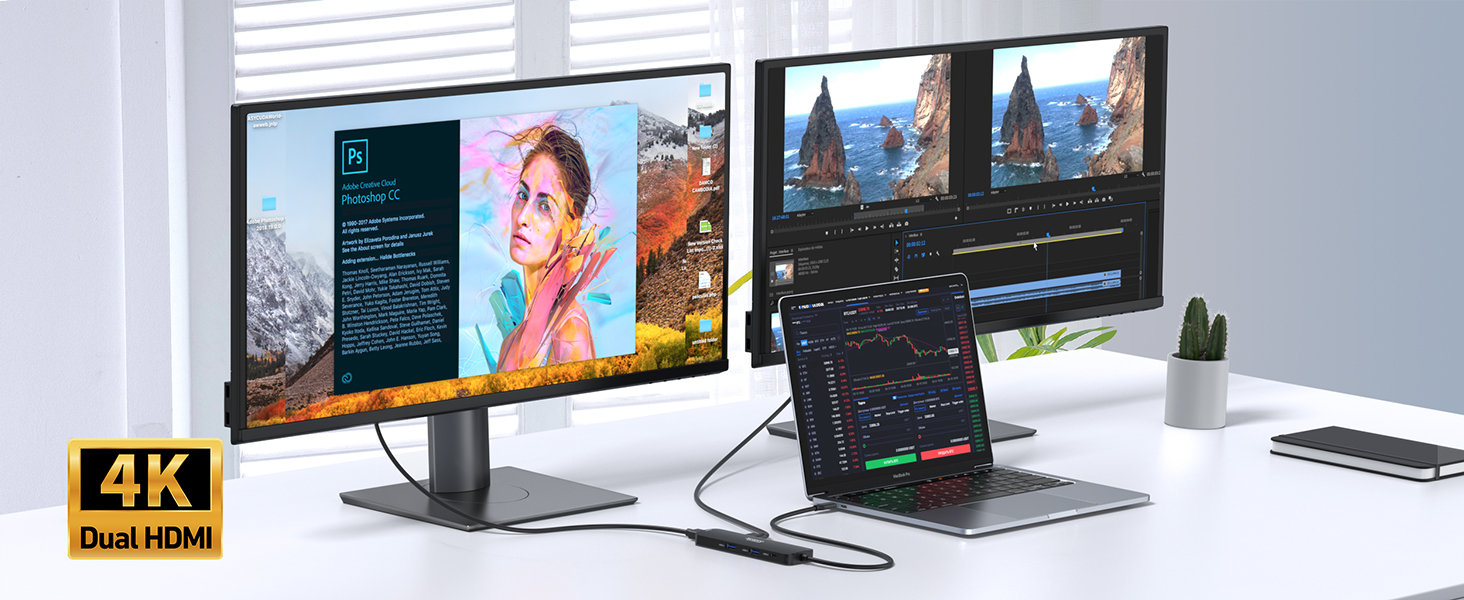 docking station dual monitor