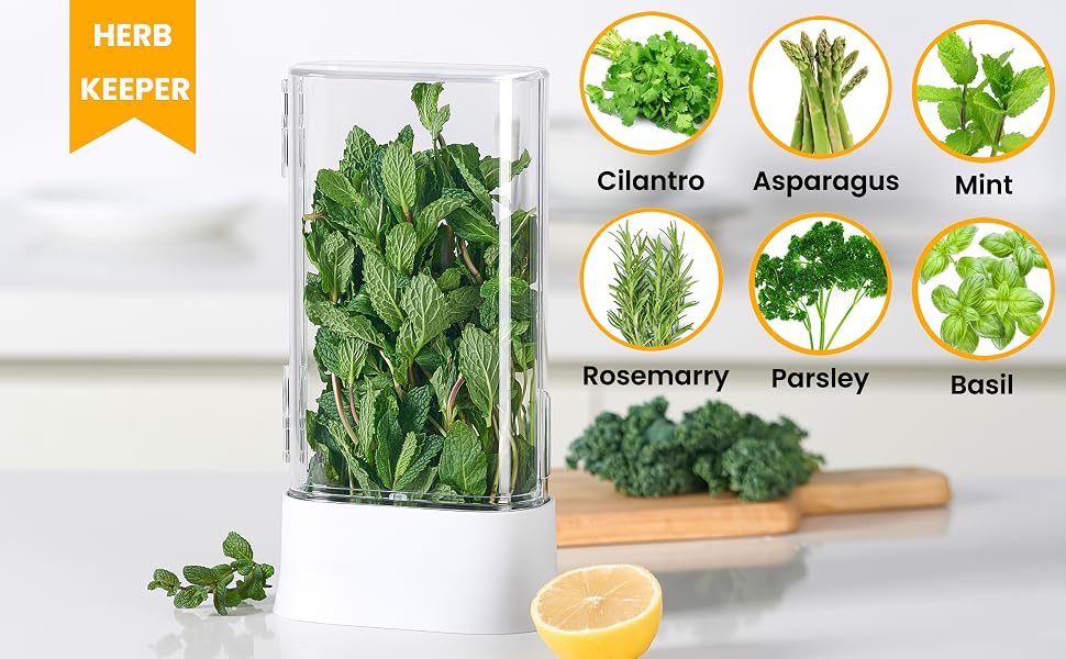 herb keeper for refrigerator