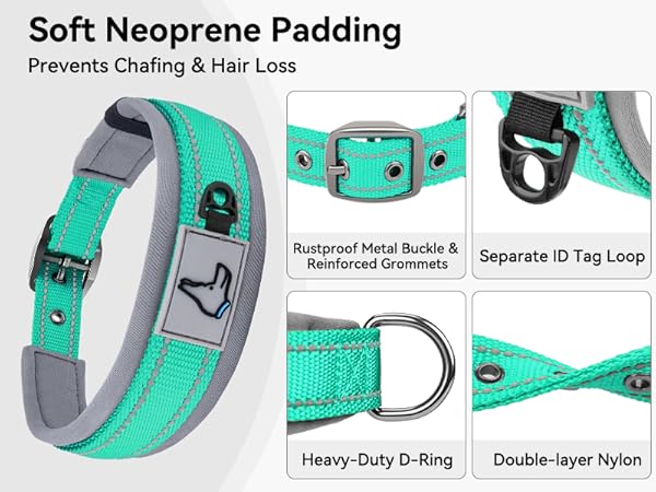 dog collar