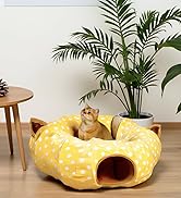 AUOON Cat Donut Tunnel