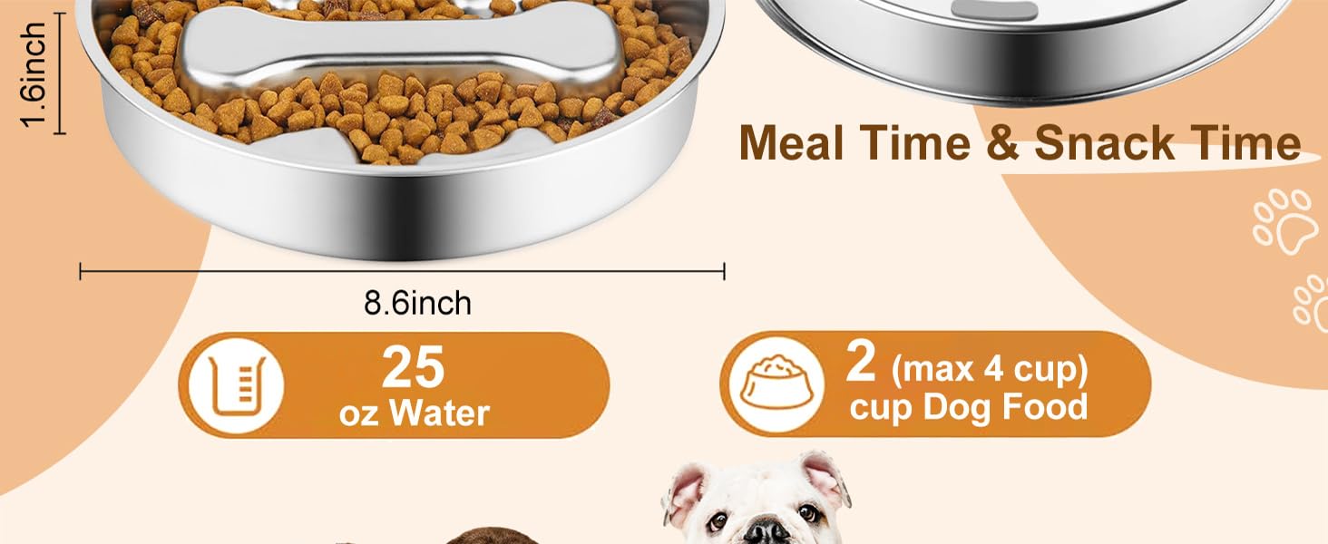 Stainless Steel Slow Feeder Dog Bowls