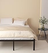bedframes platform
