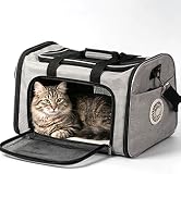 cat carrier