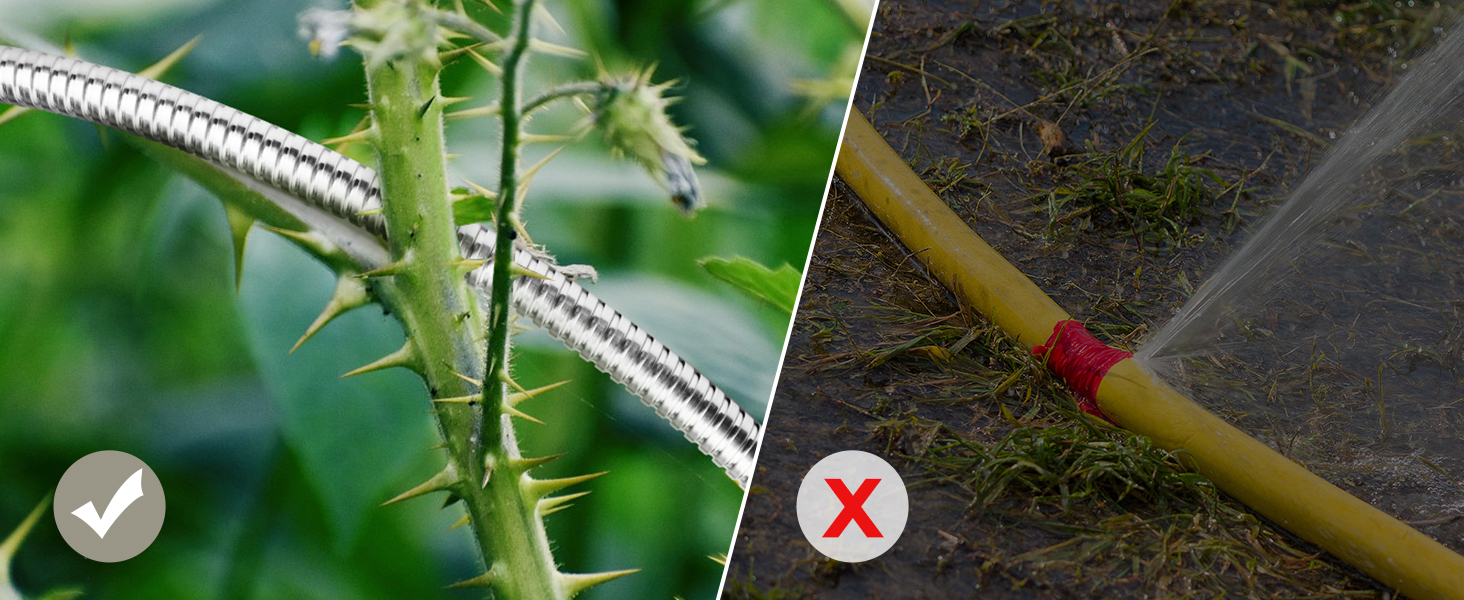 best garden hose