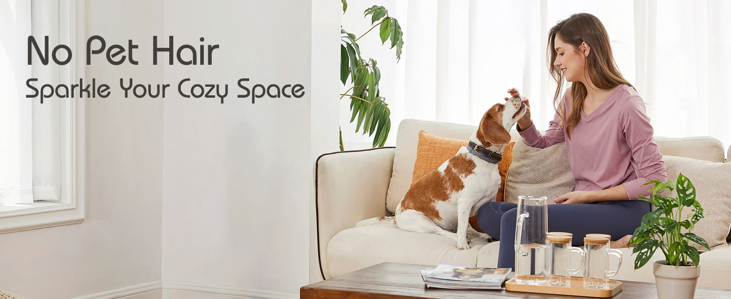 pet hair removal tool