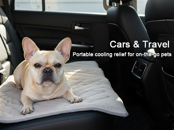 Portable cooling relief for on-the-go pets