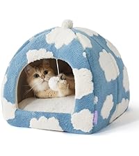https://m.media-amazon.com/images/I/41LibKtr9yL.__AC_SR200,225___.jpg