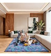 Ehayx Rainbow 5x7 Area Rugs for Living Room, Soft Fluffy Large Rug for Bedroom, Shag Non-Slip Car...