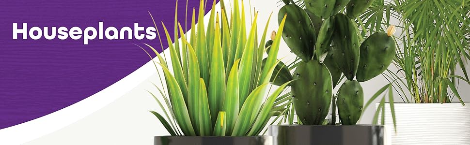 House Plants Care Banner with images of potted indoor plants