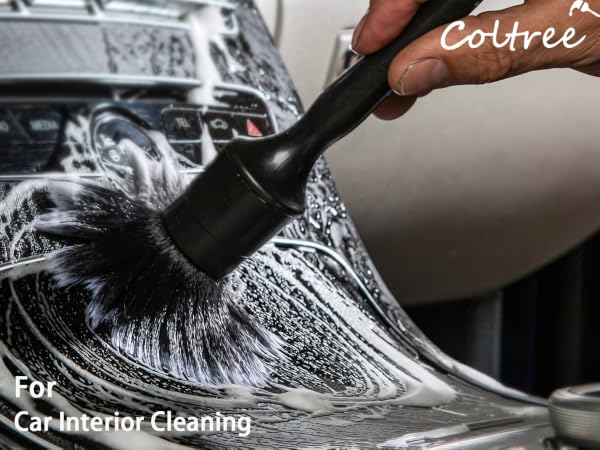 car detailing brush