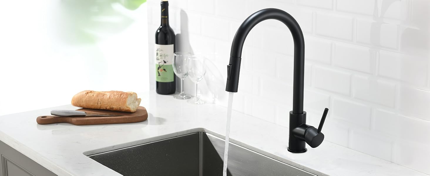 havin black pull out kitchen faucet